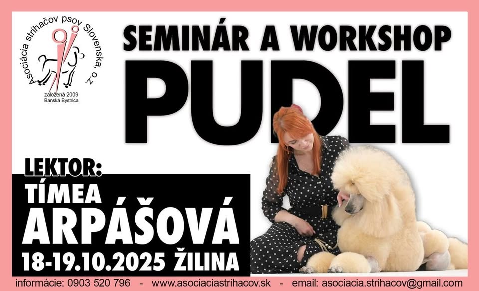 Seminár a workshop na tému PUDEL s Tímeou Arpášovou