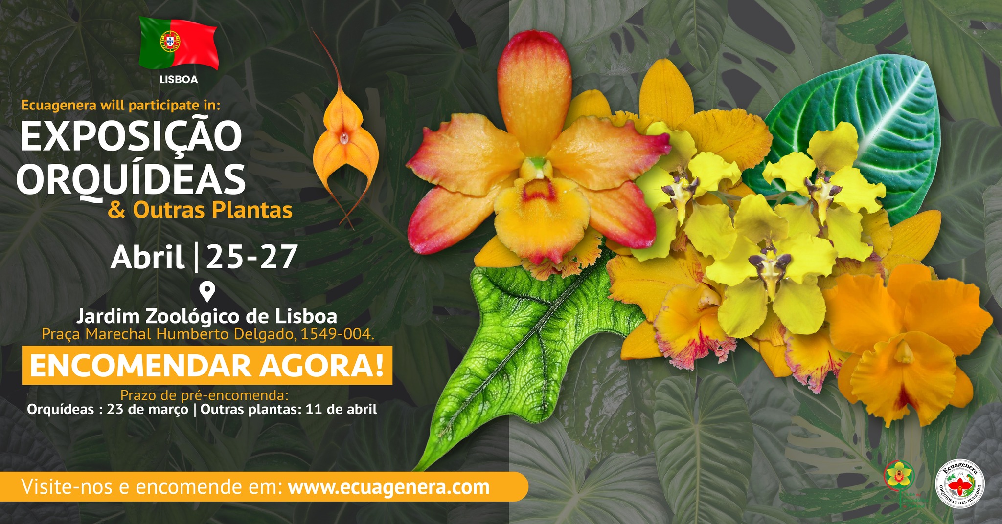 Ecuagenera participará na Exposição Orquídeas & Outras Plantas