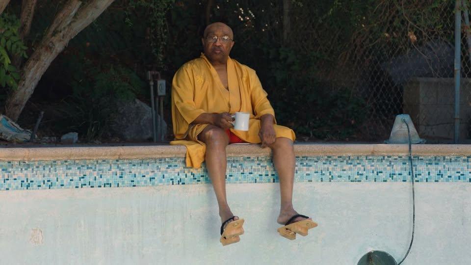 Swamp Dogg Gets His Pool Painted (2024) - Melkweg Amsterdam