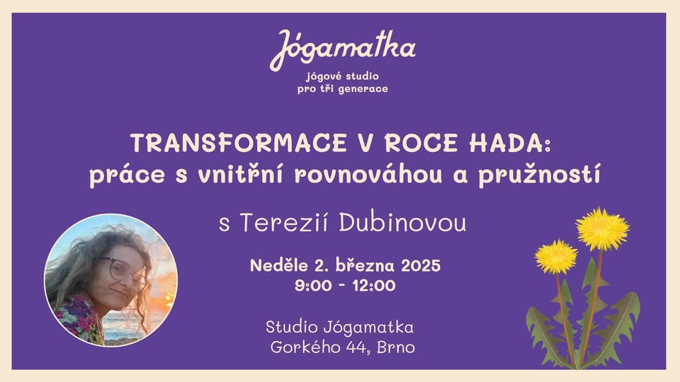 TRANSFORMACE V ROCE HADA: práce s vnitřní rovnováhou a pružností