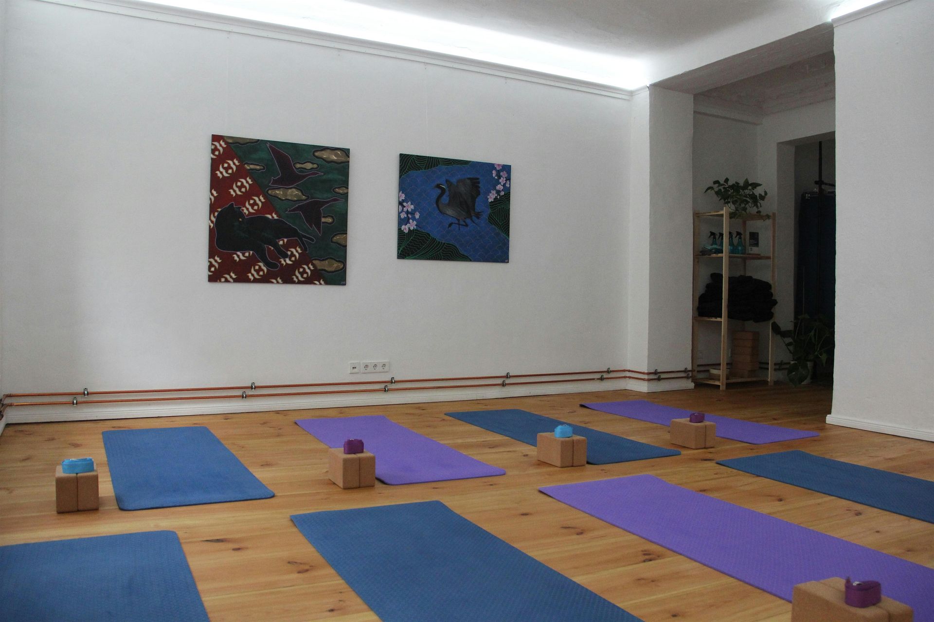 Yin & Somatics