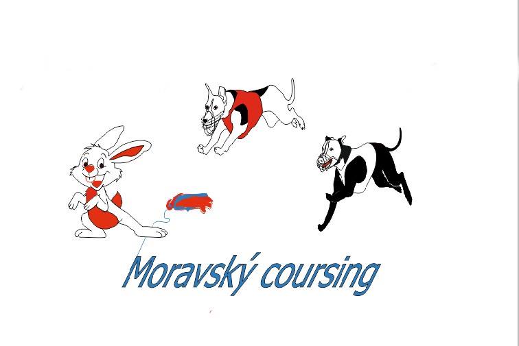 Mazaný zajíc- CHRTI CACT,CACIL, Mistrovství Moravy, V4, nominační