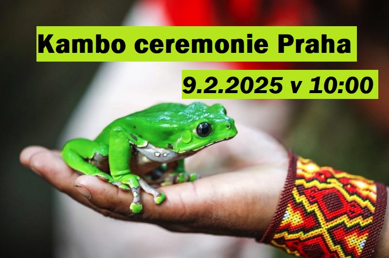 Kambo ceremonie Praha 9.2.2025