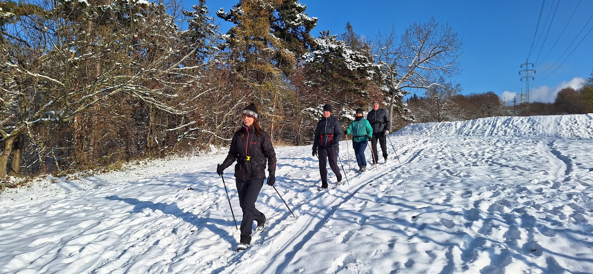 Nordic Walking kurz pro začátečníky-Brno Medlánky