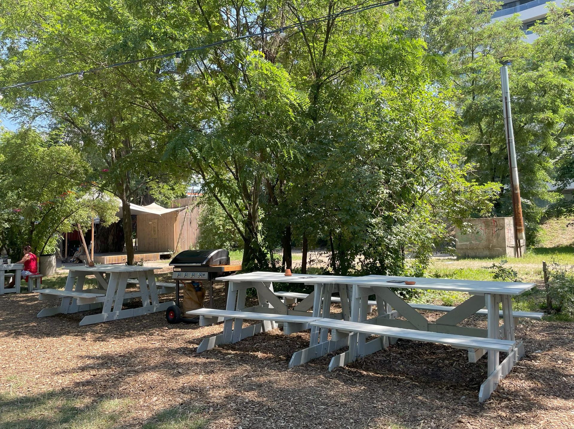 Let’s Grill in Karlin! 🍗 🍻 ☀️ 🥳