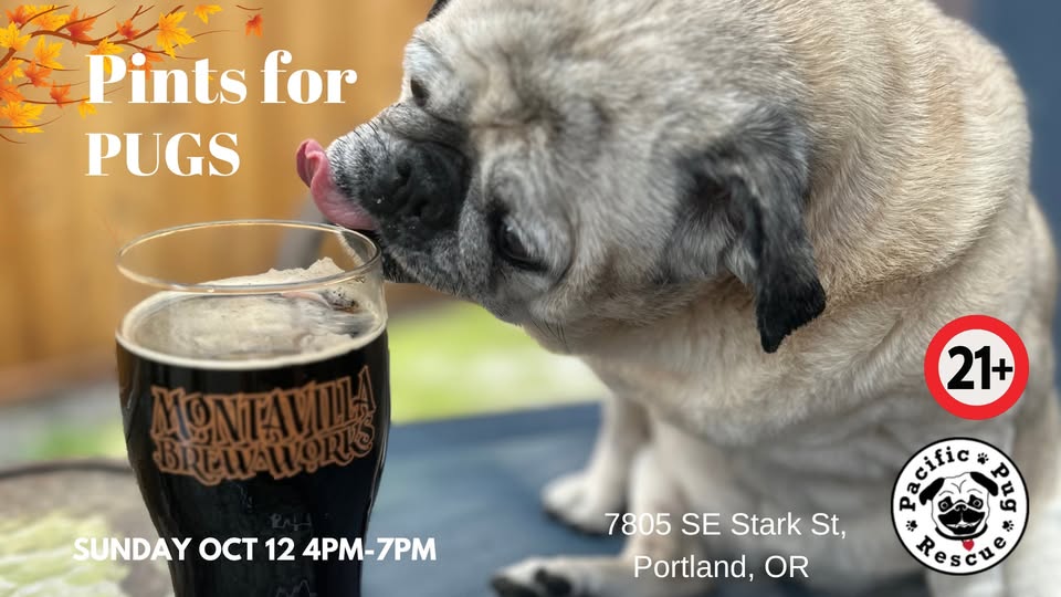 Pints for Pugs