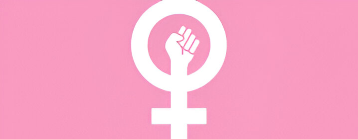 Critical Readings: Feminist Political Theory (Chapters 14 and 15 + Conclusion)