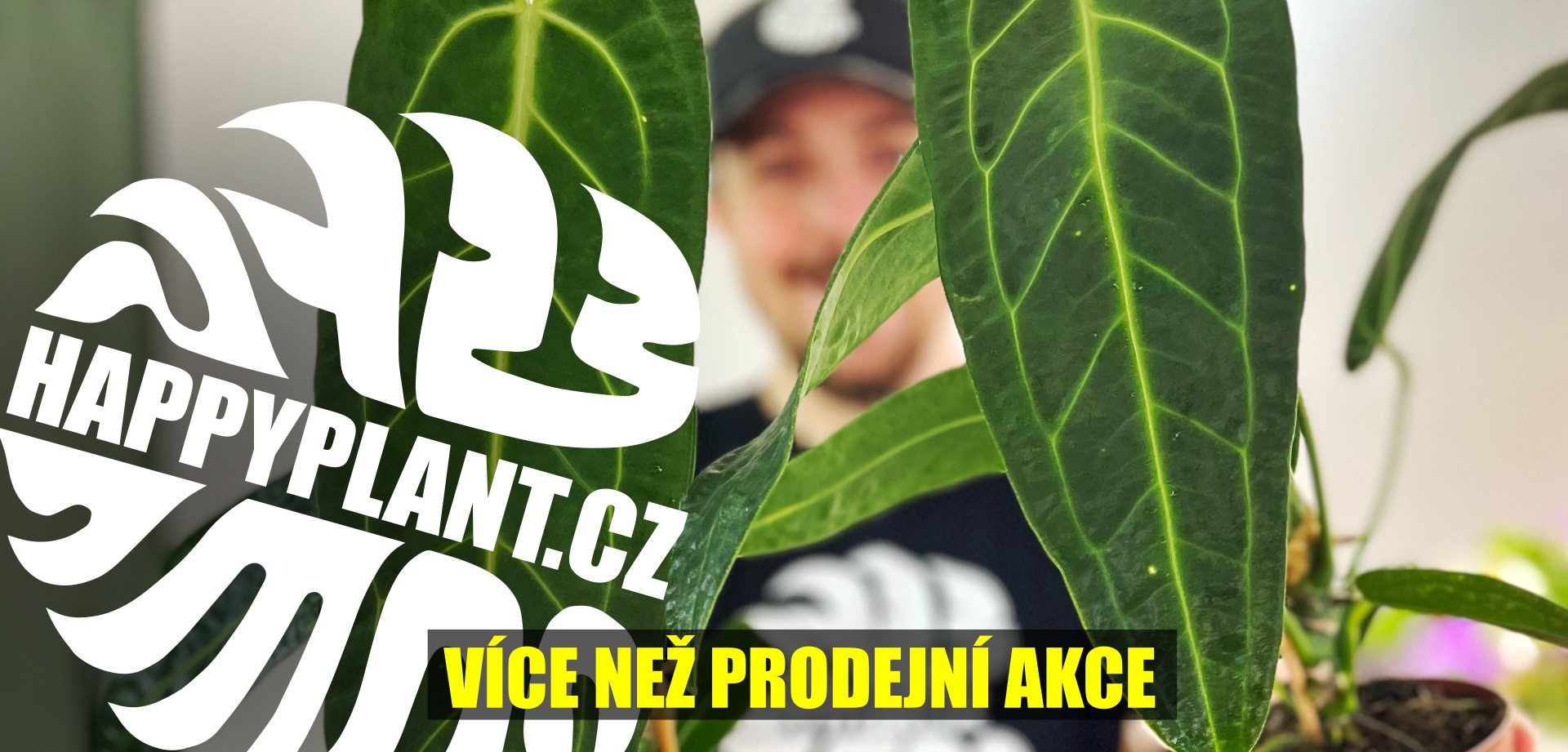 Matěj z HAPPYPLANT 🔥 Exotické izbové rastliny 🌿BRATISLAVA
