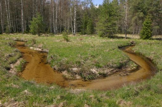 Antropogenní vlivy na horské vodní ekosystémy Šumavy