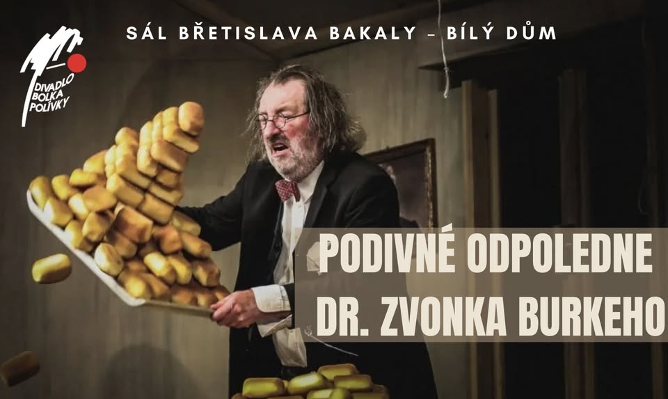 Podivné odpoledne Dr. Zvonka Burkeho