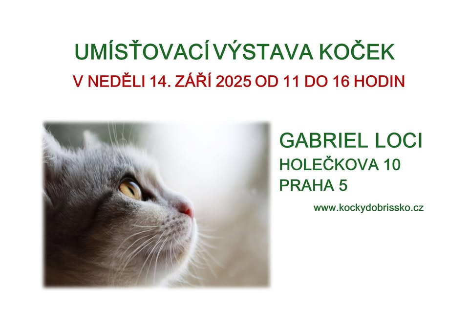 UMÍSŤOVACÍ VÝSTAVA KOČEK
