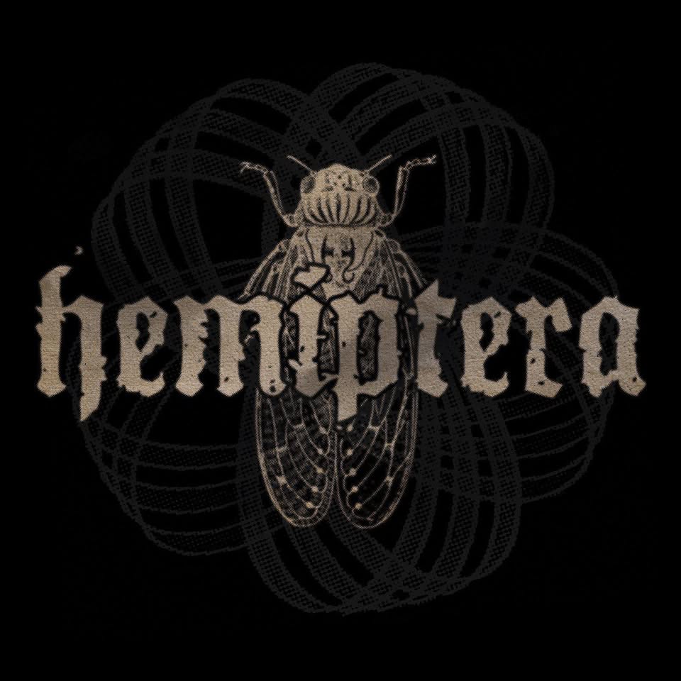 HEMIPTERA (UK) + T.B.A