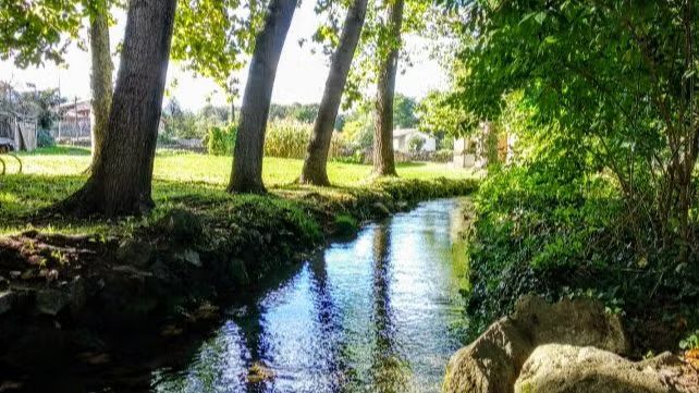 🌿🌞 FAGEDA D'EN JORDÀ PER LA MOIXINA