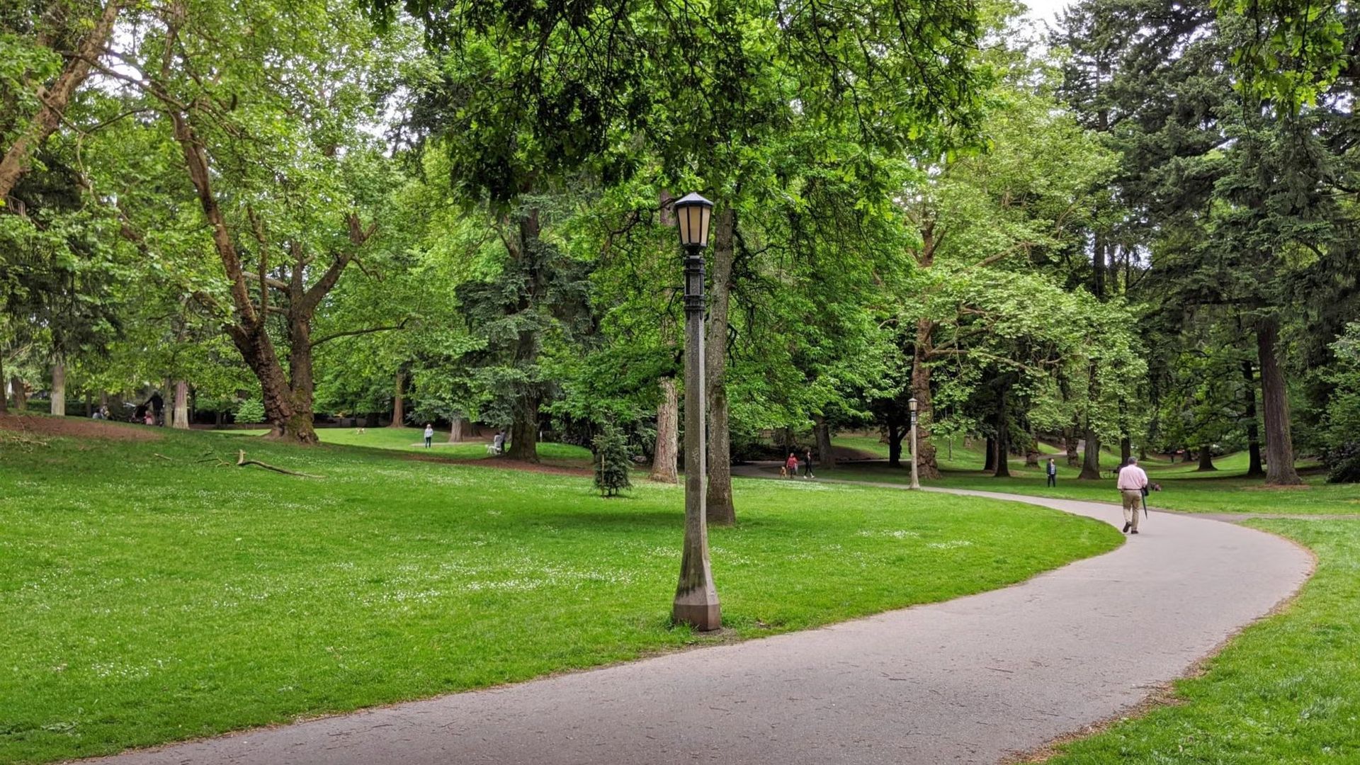 Laurelhurst Park: Hang with Friends — Bring a Camp Chair and a Bag Dinner...