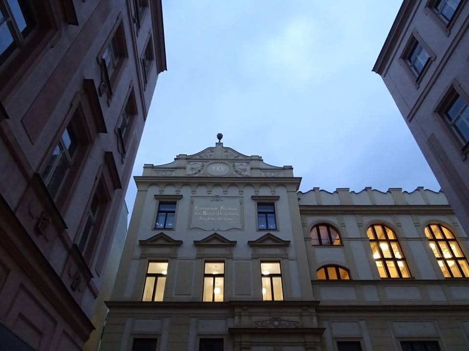 Lednová vycházka