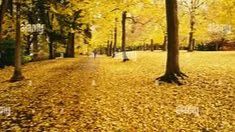 Laurelhurst Park and Hawthorne Park Walk