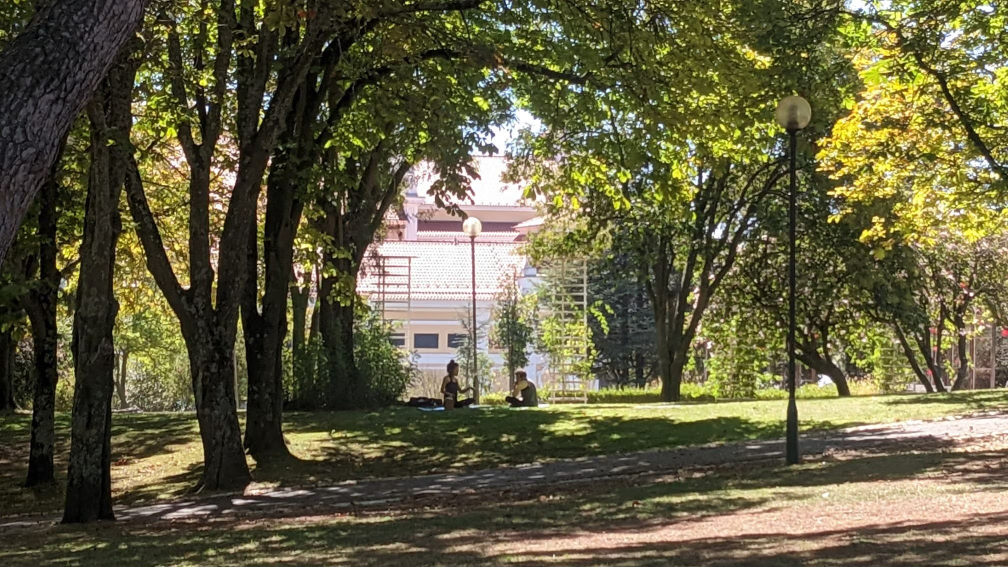 Yoga in Park Eduardo VII