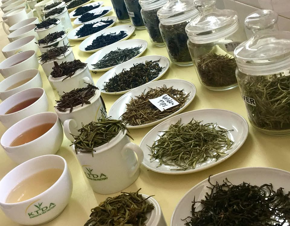 Degustace čajových speciálů z Keni 🍃🇰🇪