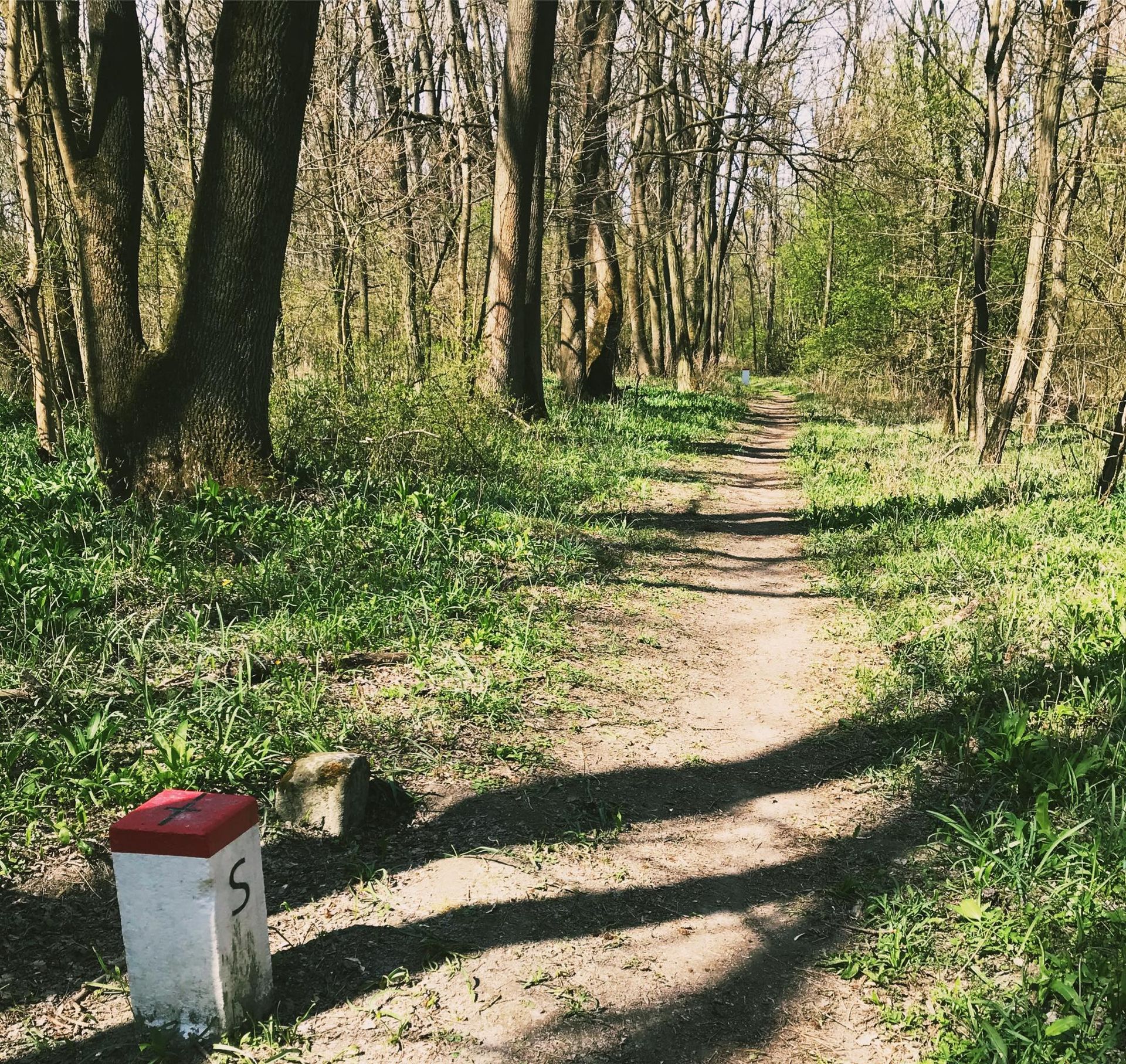 KURZ TECHNIKY NORDIC WALKING