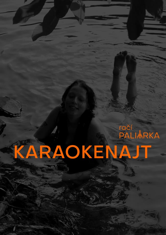 Karaoke najt 🎙 v raku