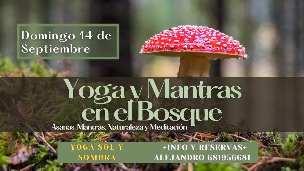Yoga, Mantras & Ríos en el Bosque de la floresta "Bajo la música del bosque"