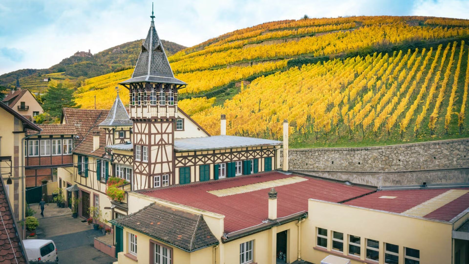 Ravishing Rieslings - (Some of) Europe's Best White Wines - BYOB or Just Taste
