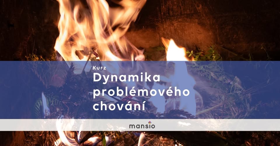Online KURZ Mansio: Dynamika problémového chování