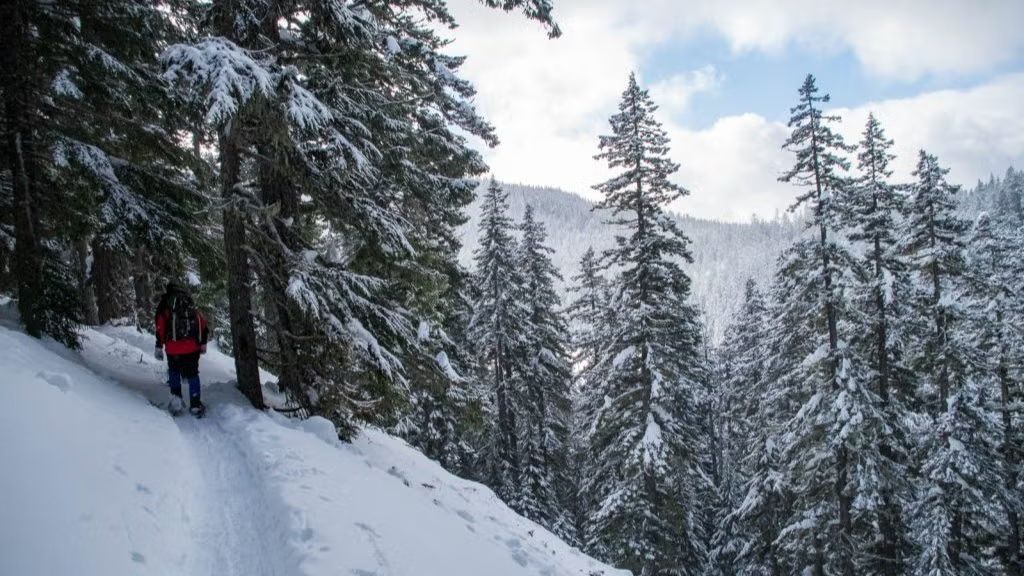 Snowshoe the Twin Lakes Loop on Mt Hood!