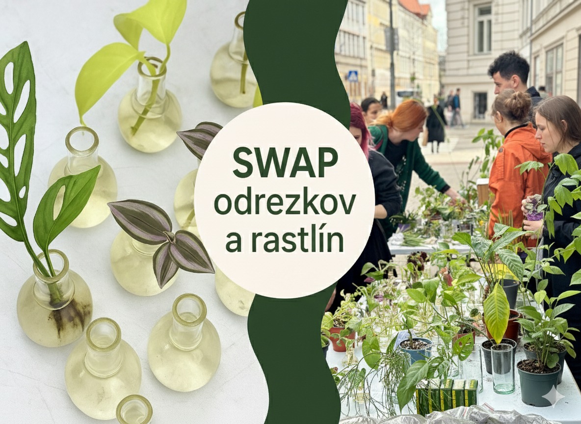 Swap cuttings and plants in plantizia 🌱🌿