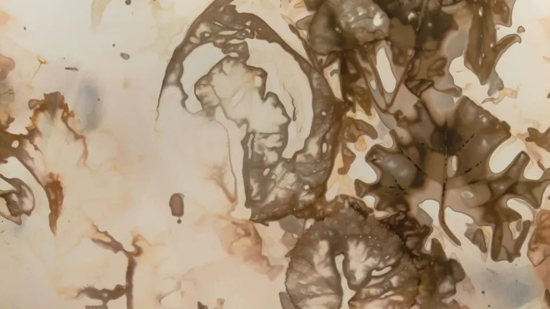 Michaela Davidová: The Metabolising Analogue / vernisáž
