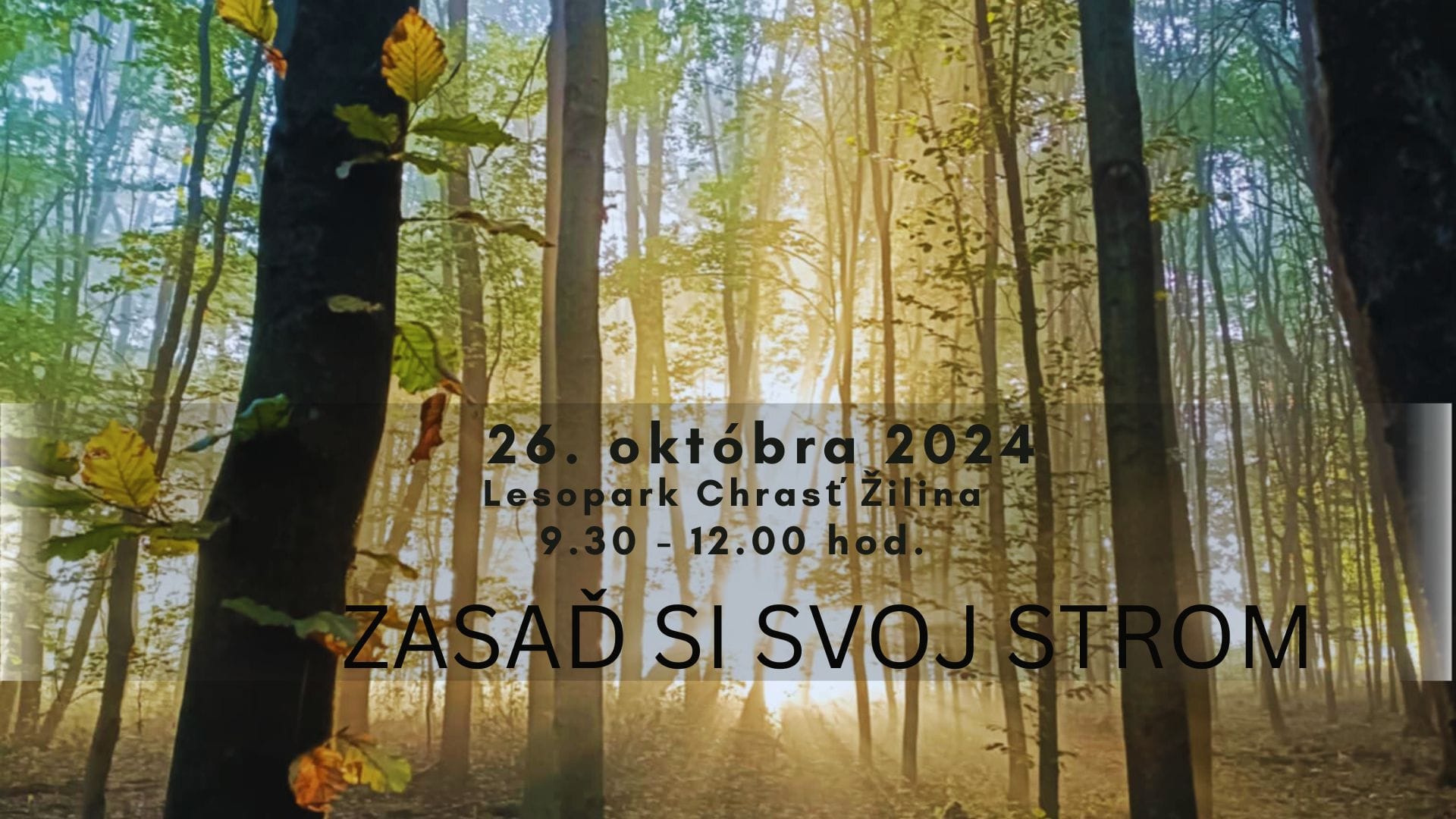 Zasaď si svoj strom