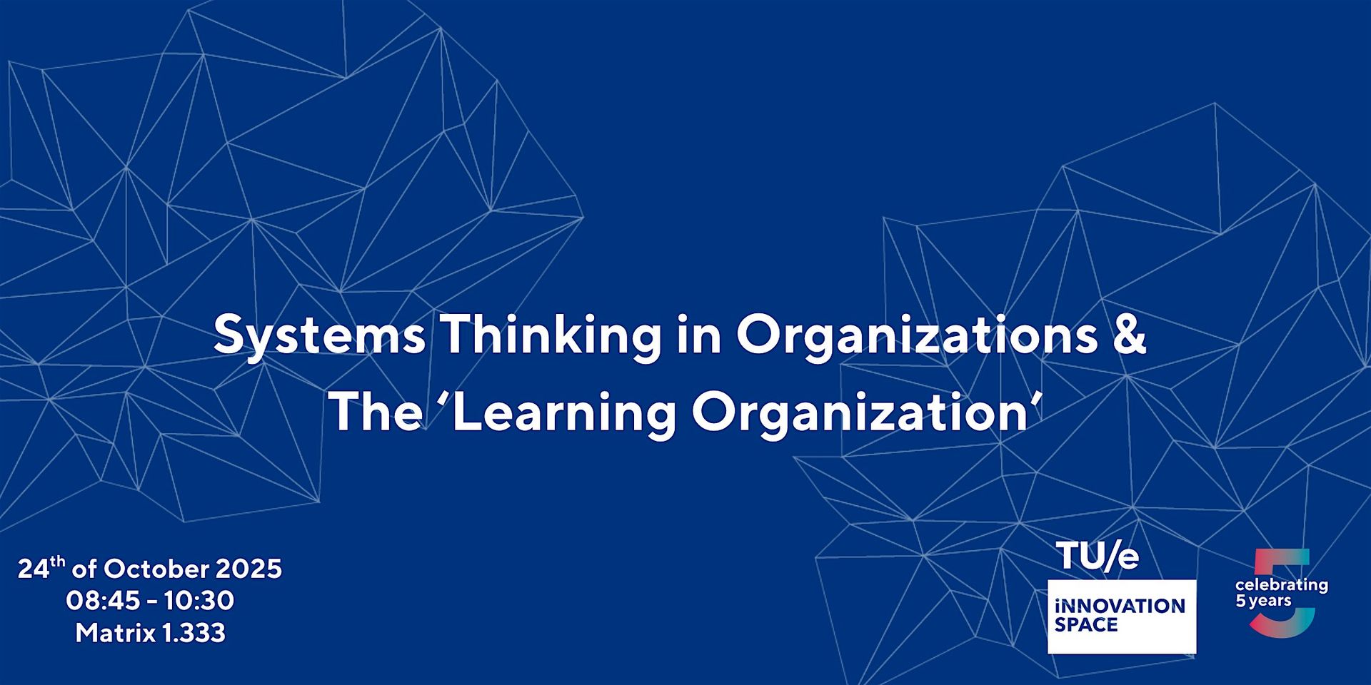 Systems Thinking in Organizations & The 'Learning Organization'