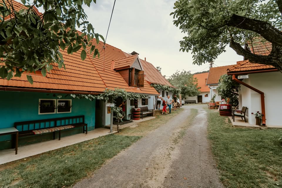 Od strapca po pohár
