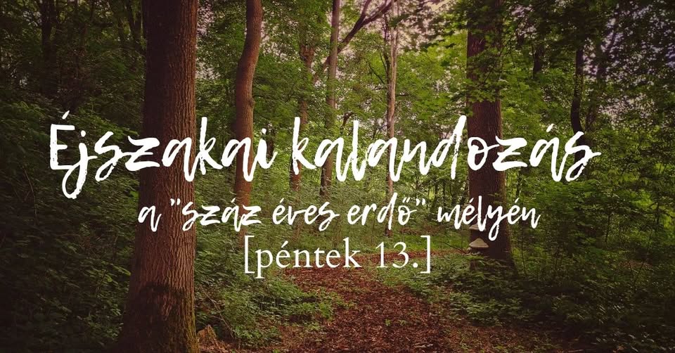 Éjszakai kalandozás a "száz éves erdő" mélyén