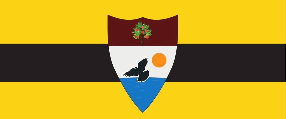 Ústava Liberlandu - s Vítem Jedličkou