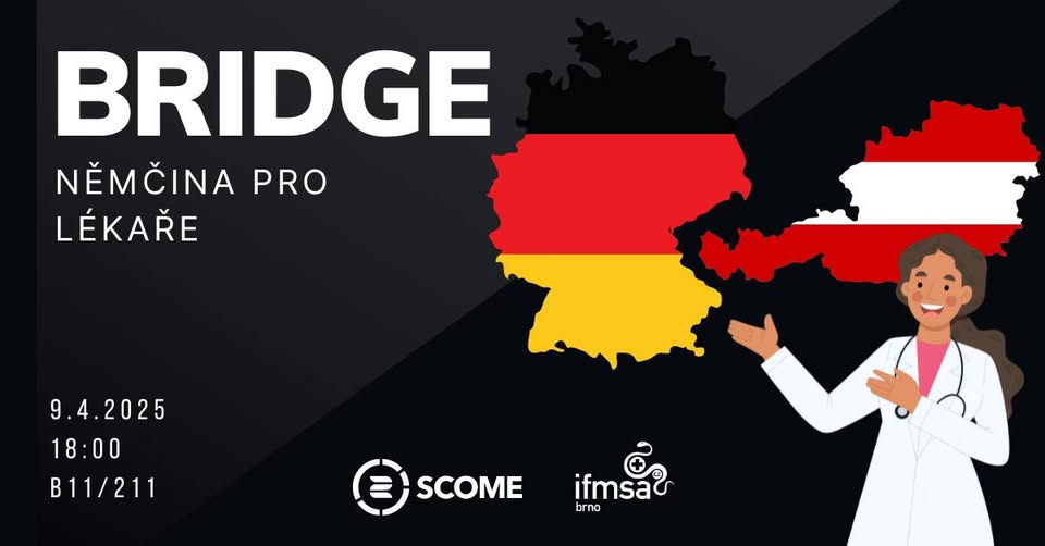 Bridge