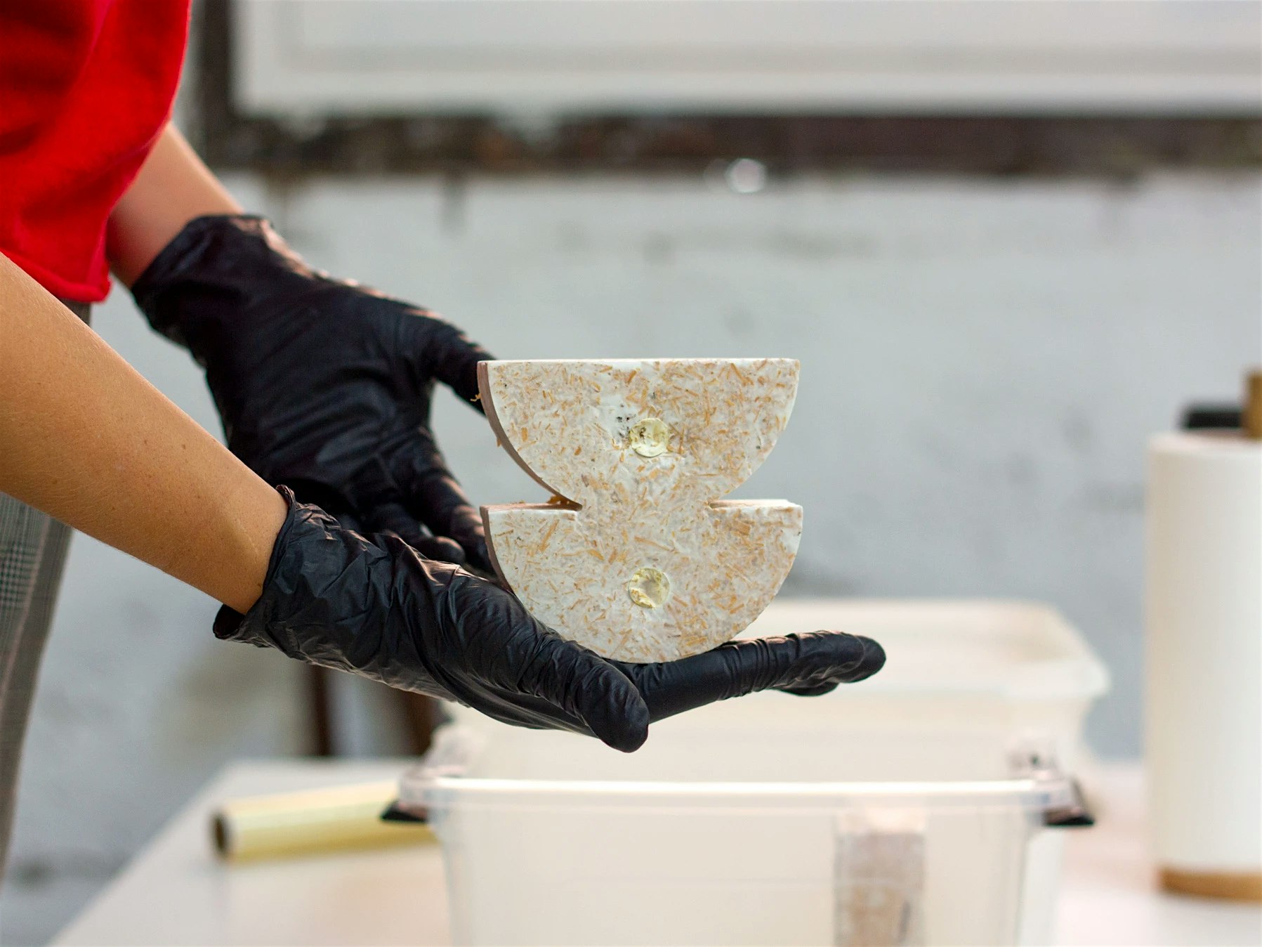 SHAPING MYCELIUM a càrrec de Col·lectiu Domingo Club