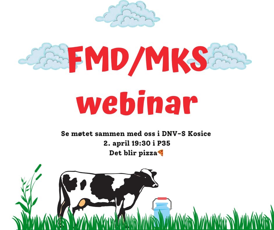 FMD/MKS webinar og pizza