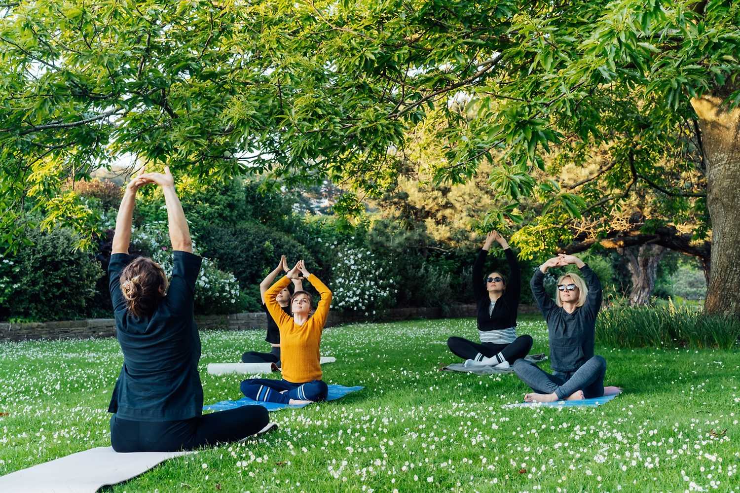 Hatha Yoga v parku