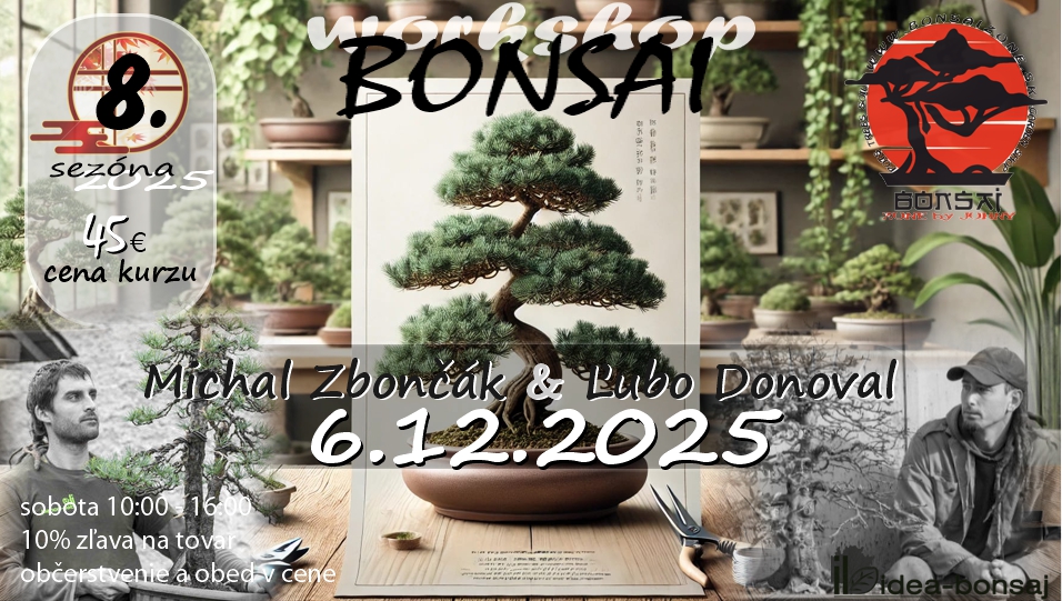 BONSAI Workshop 8.