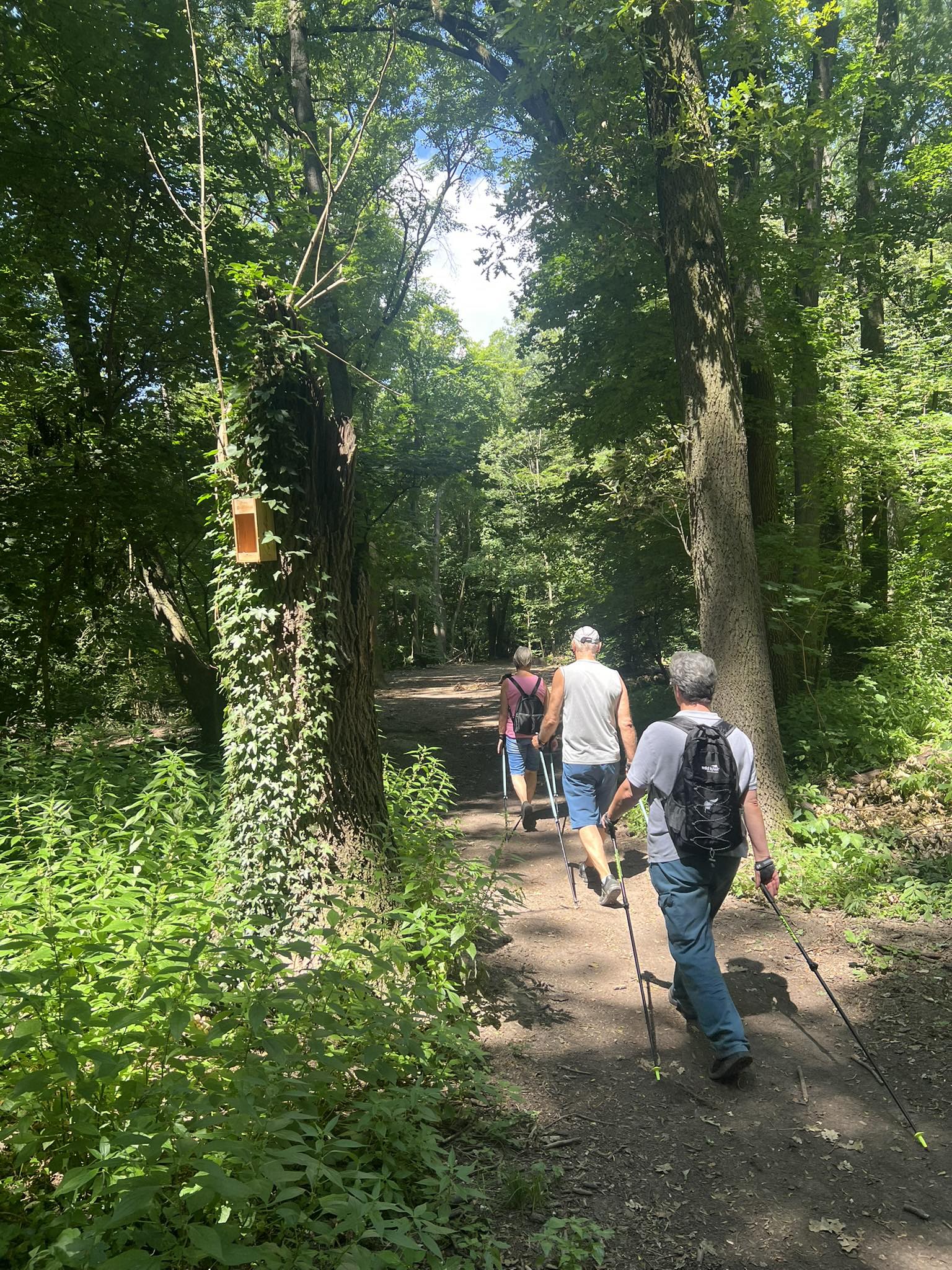 Kurz Nordic Walking PETRŽALKA