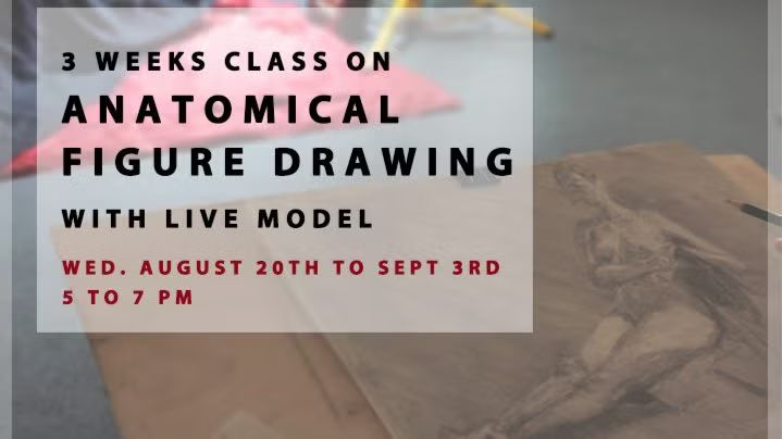 3 WEEKS CLASS ON  FIGURE AND ANATOMICAL DRAWING  WITH LIVE MODEL for beginners