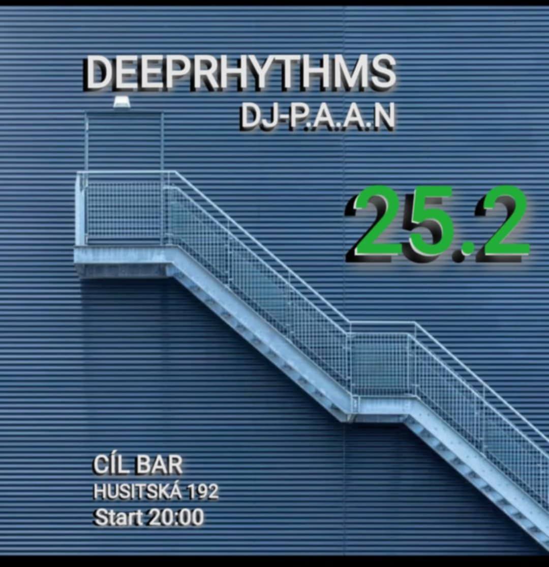 DEEPRHYTMS w/ DJ P.A.A.N | house party