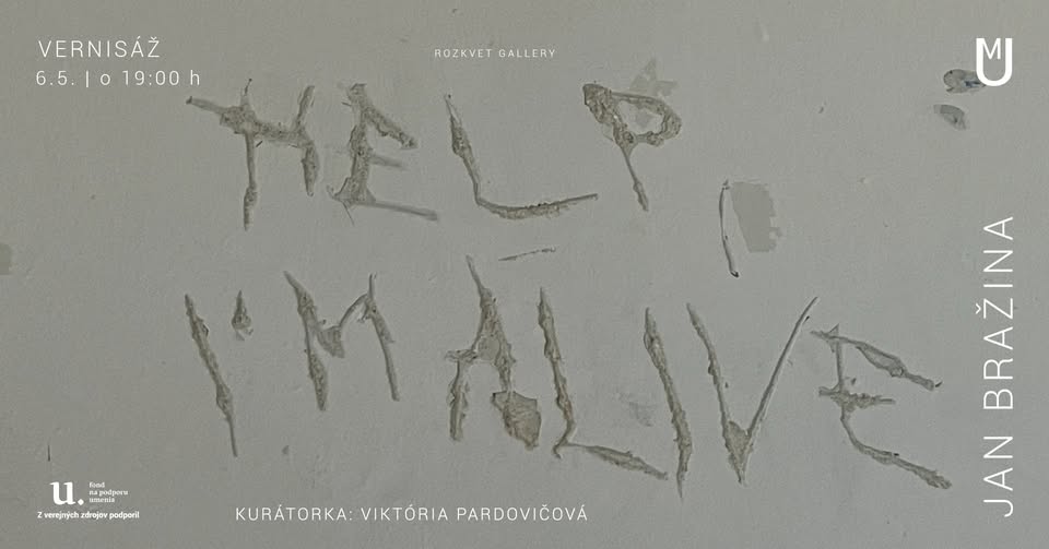 help, i'm alive | vernisáž výstavy Jana Bražinu