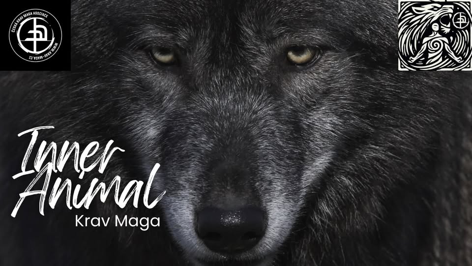 Vinohrady: Krav Maga Inner Animal: kurz pro začátečníky