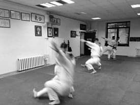 Aikido Seminar Czech September 2025