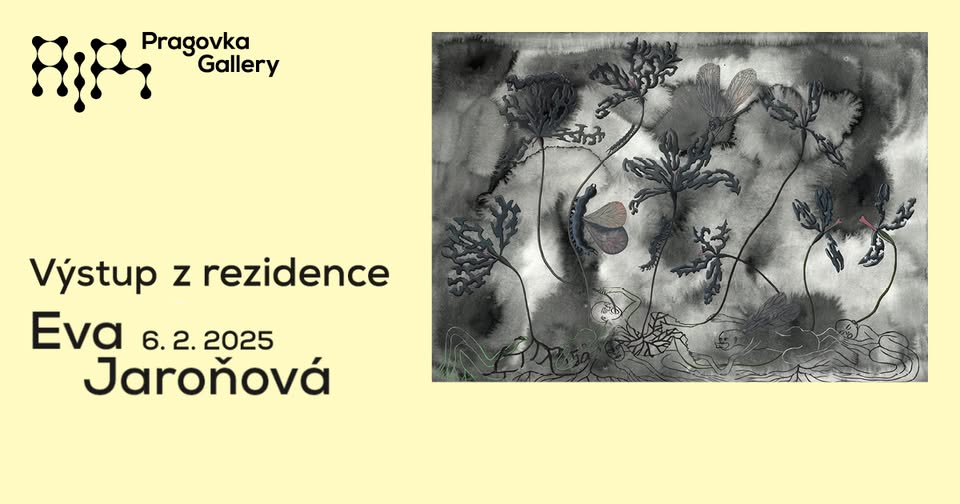 Eva Jaroňová / Výstup z rezidence