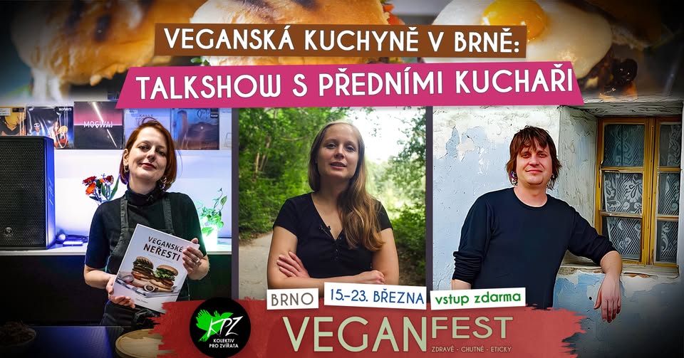 Veganská kuchyně v Brně: Talkshow s předními kuchaři