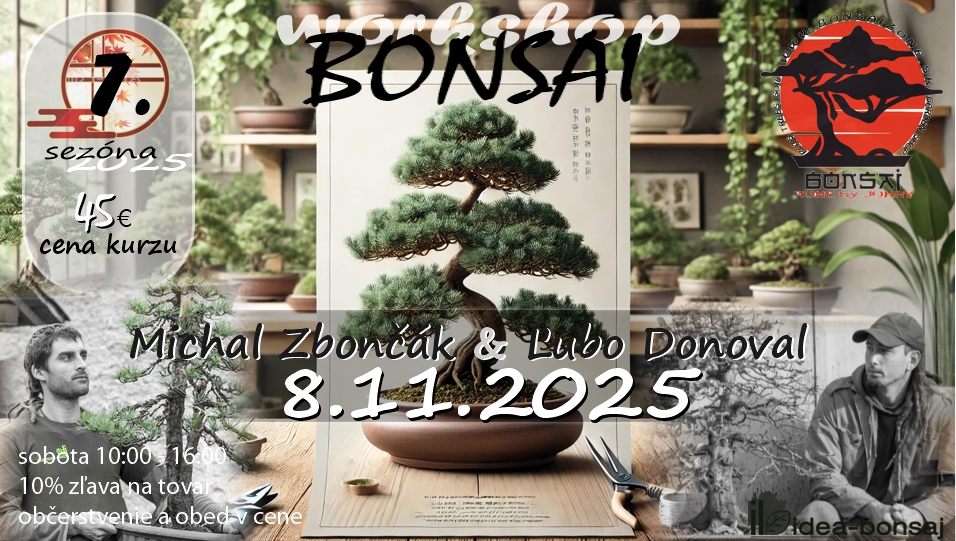 BONSAI Workshop 7.