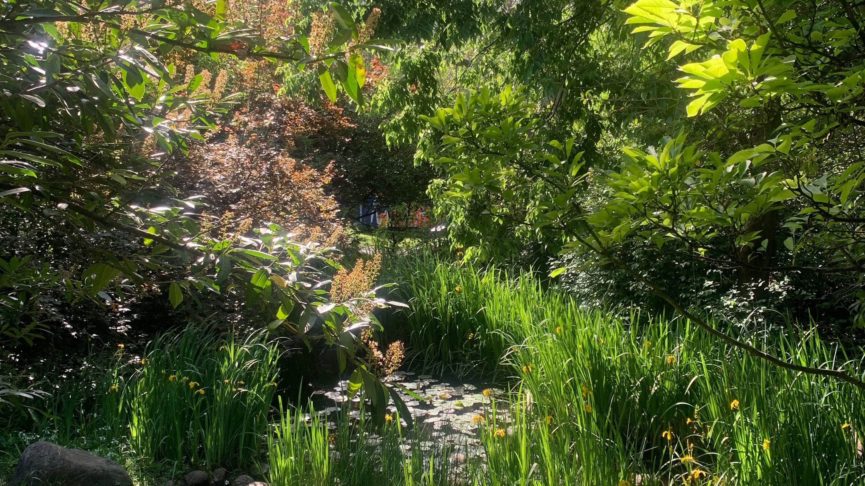 Morning meditation in Gulbenkian garden!